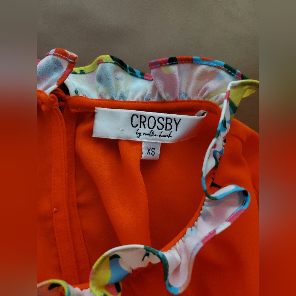 Crosby by Mollie Burch Blakely Top Colorful Tiered Ruffle Blouse Picante XS - Picture 4 of 6